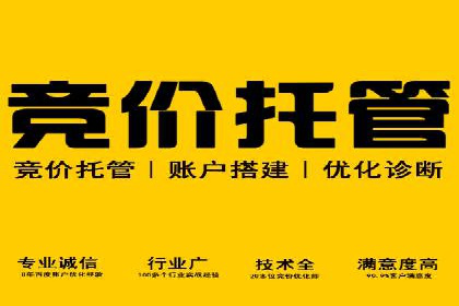 SEM推广技巧：实战案例教你快速提升流量